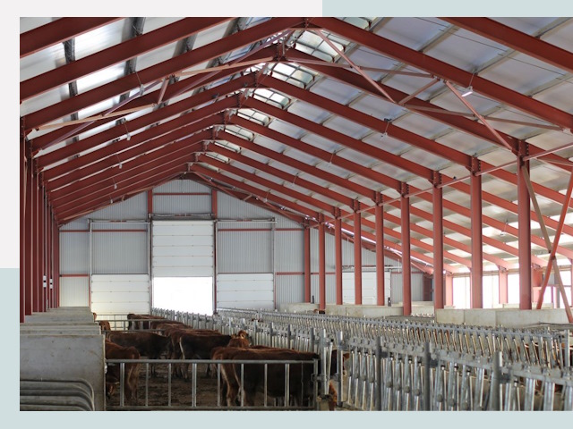 Строительство коровников в Красном Сулине