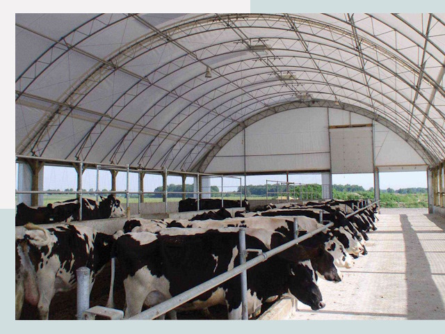Тентовые коровники в Красном Сулине